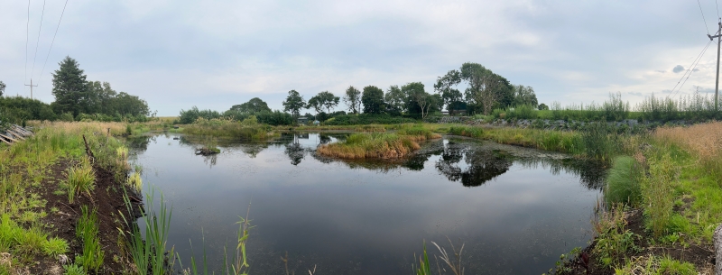 Brockagh Wood